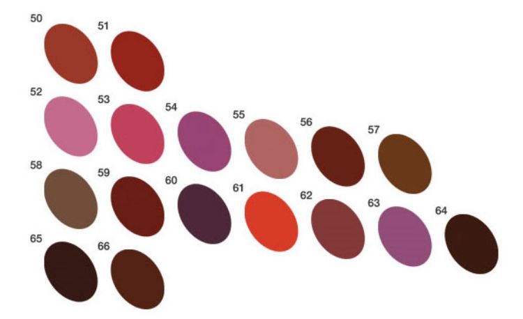 Imagen de Perfiladores de Labios D'Orleac