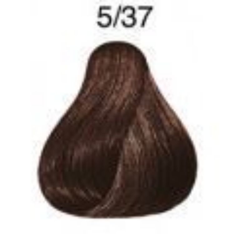 Imagen de Tintes Wella Color Touch 60 ml