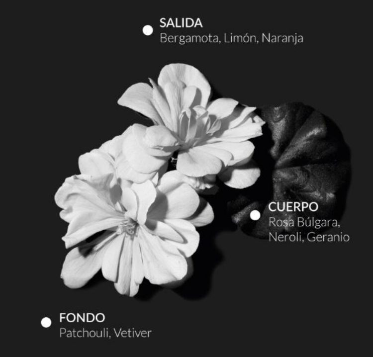Imagen de Esprit de Parfum Alqvimia Athena 10 ml 